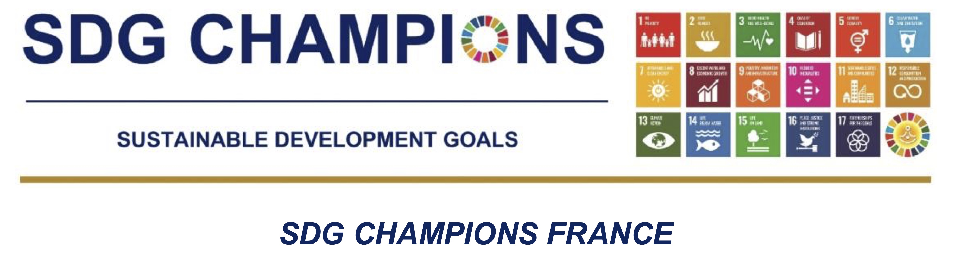SDG Champions France